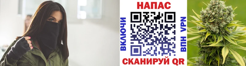 купить наркотики цена  Валдай  Канабис AK-47 